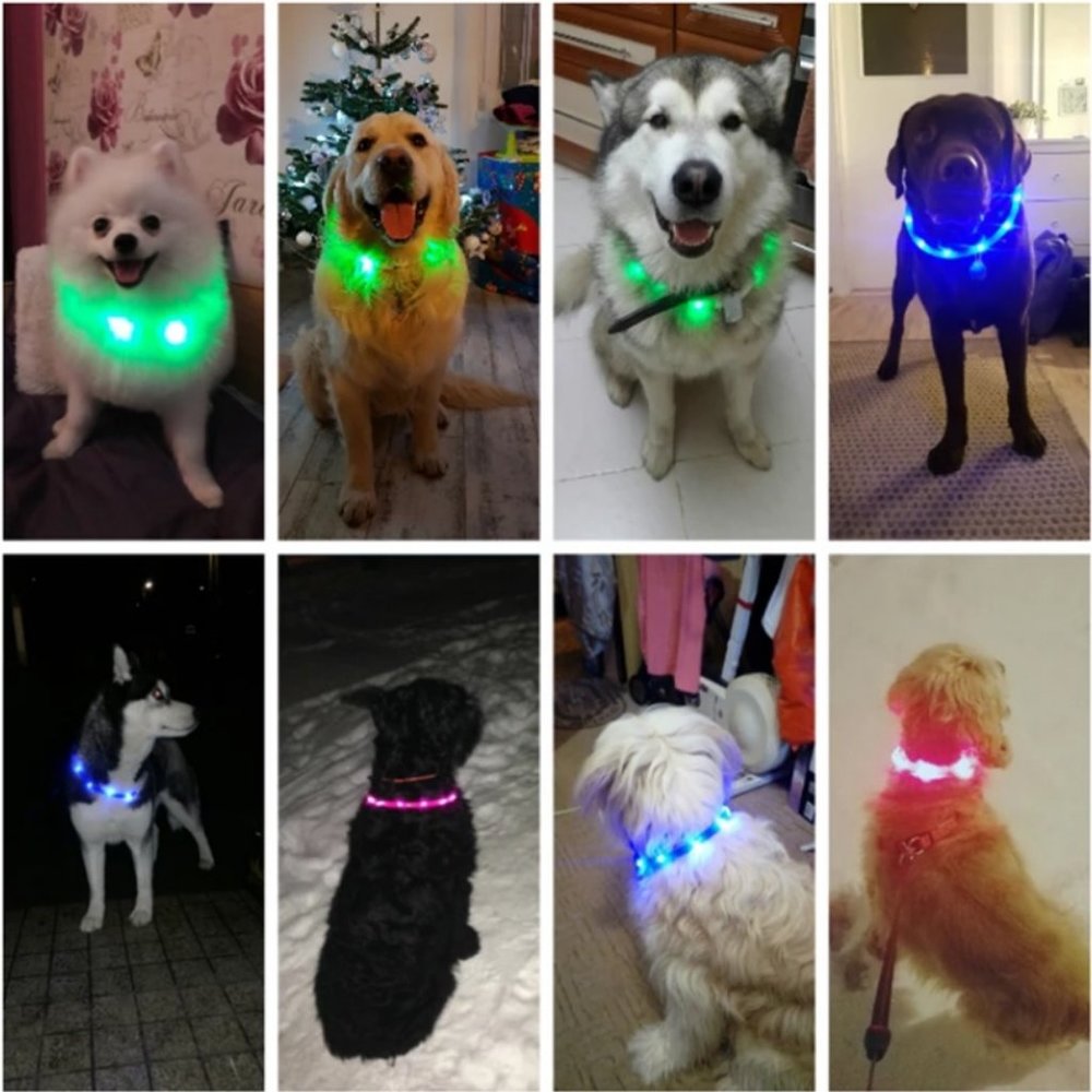Superior LED Soft Safety Collar USB Charge No Battery Needed Ever Blue or Green